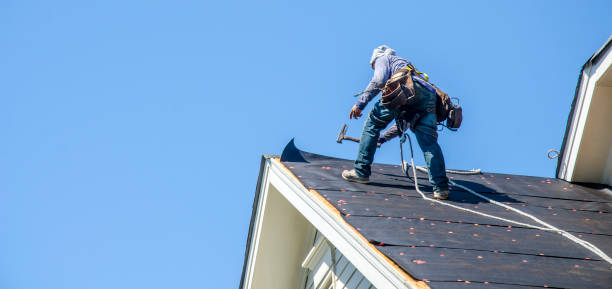 Best Roof Maintenance Services  in Emma, NC
